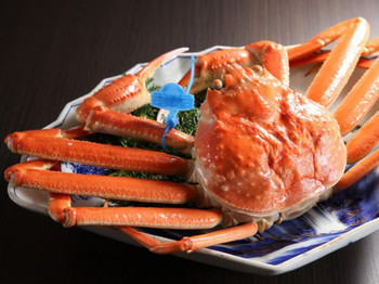 Speaking of delicious food in Kinosaki...Matsuba crab! 3318117