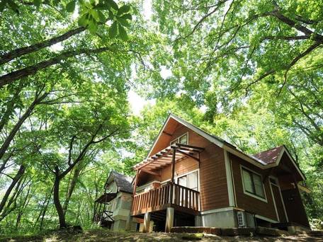 AMBIENT 八ヶ岳コテージ / 3