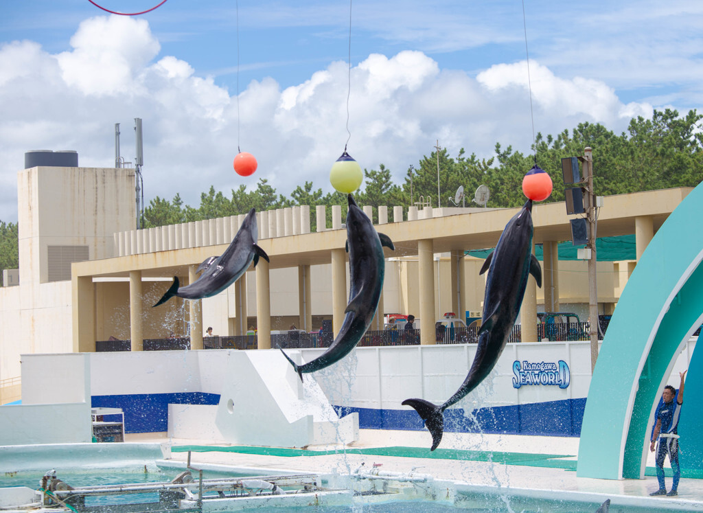 南房総　野島埼灯台　朝の風景