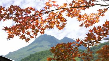 施設からの眺望 / 30