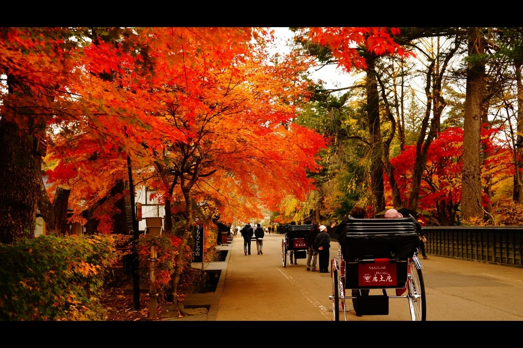 秋田を美しく彩る紅葉を見に行こう690138