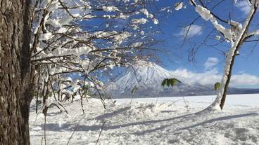 施設からの眺望 / 30
