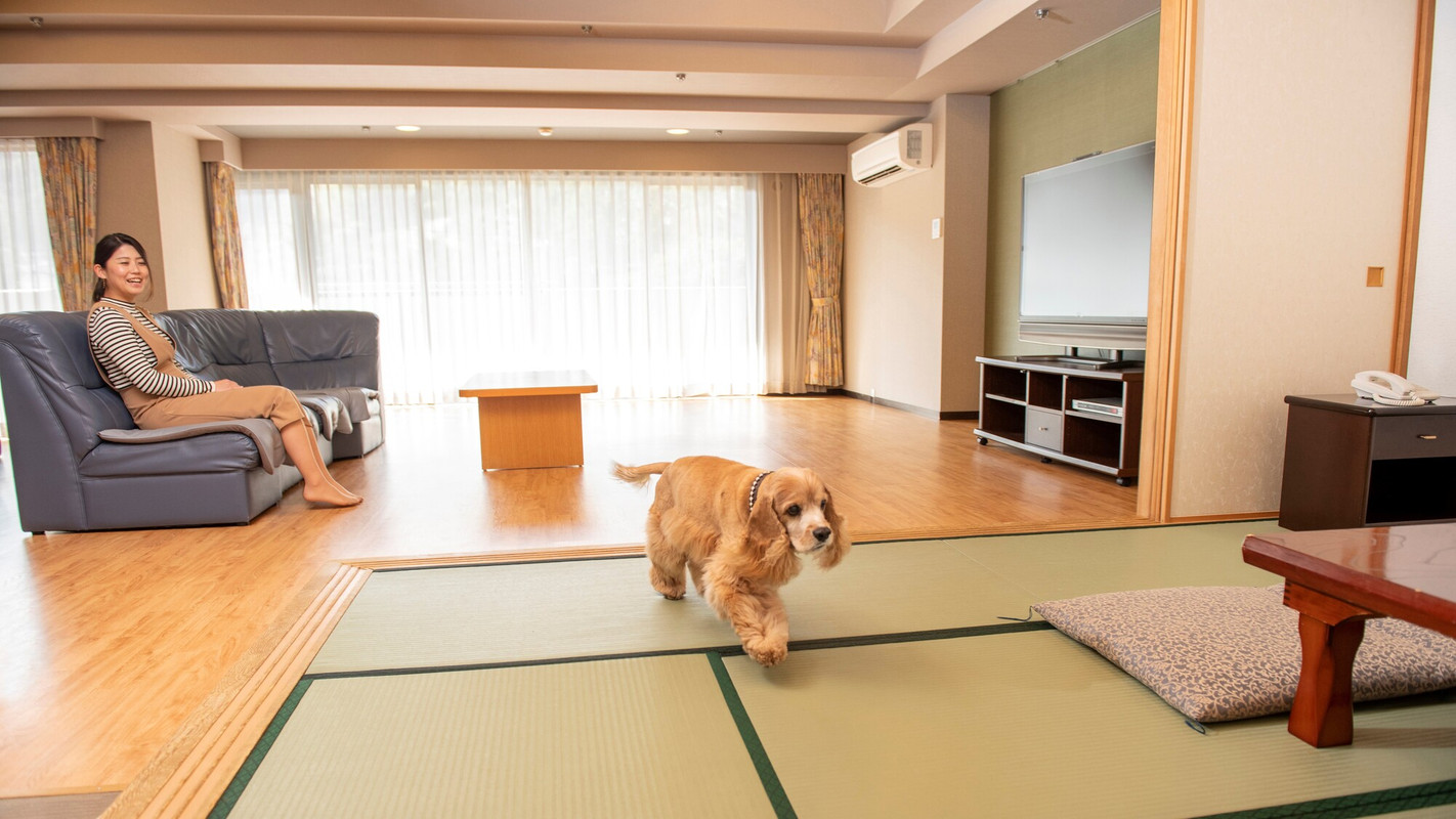 伊東温泉　ウェルネスの森　伊東（イトウオンセン　ウェルネスノモリ　イトウ） / 6