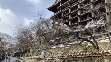 観光スポット / 13