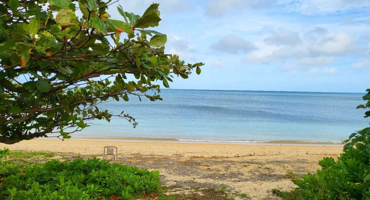 k.misato.jhさんの写真 / 1