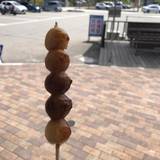 道の駅 桜の郷 荘川（ミチノエキサクラノサトショウカワ）