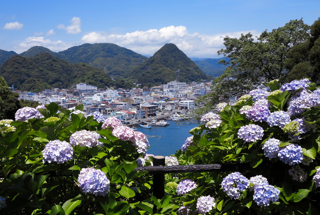 美しい景色と海の幸、温かみある町に浸りふたりの心も和やかに3514276