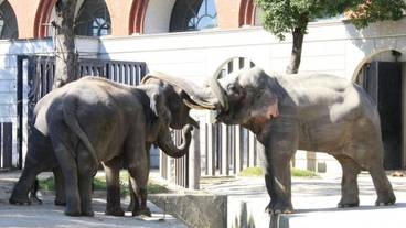 観光スポット / 7