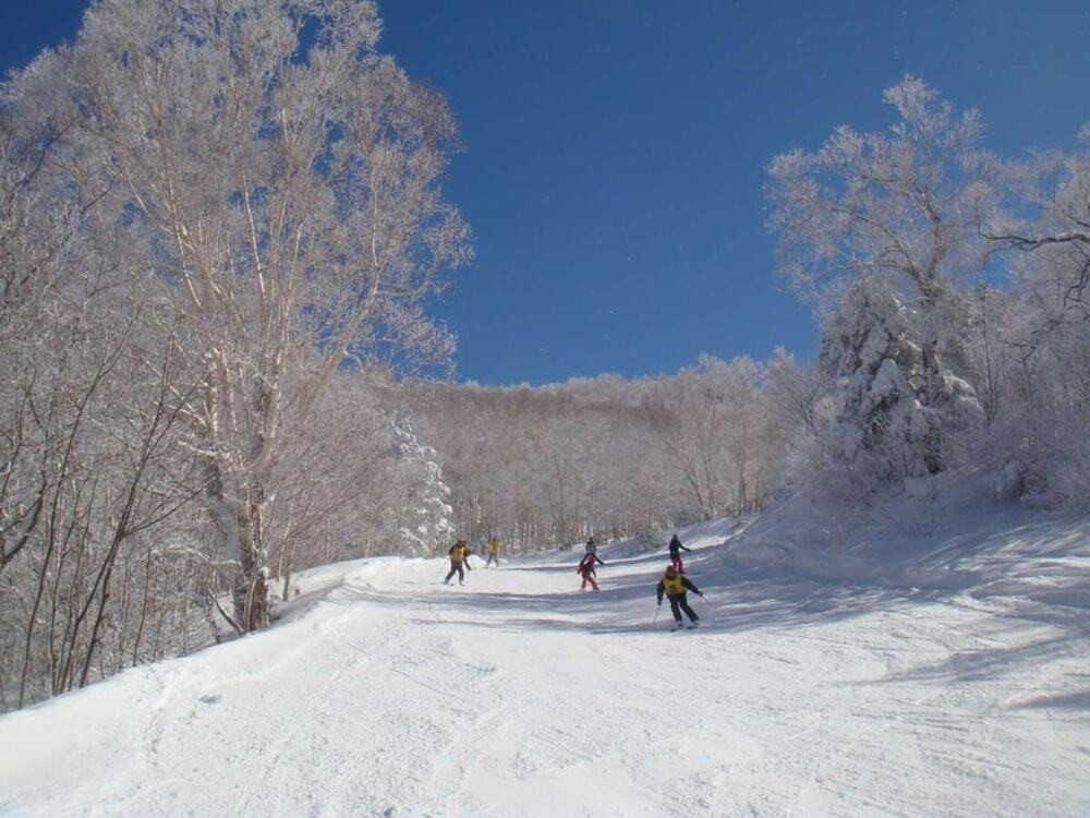 スノー スポーツとスキー