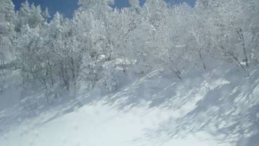 スノー スポーツとスキー / 9