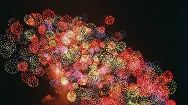 ランド ビュー / 16