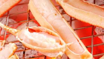 食事・飲み物 / 16