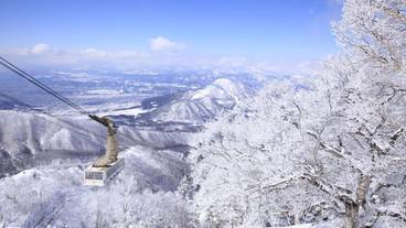 スノー スポーツとスキー / 5