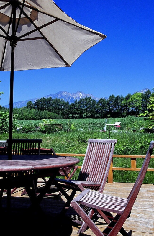 テラス / パティオ