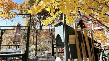 ガーデン ビュー / 6