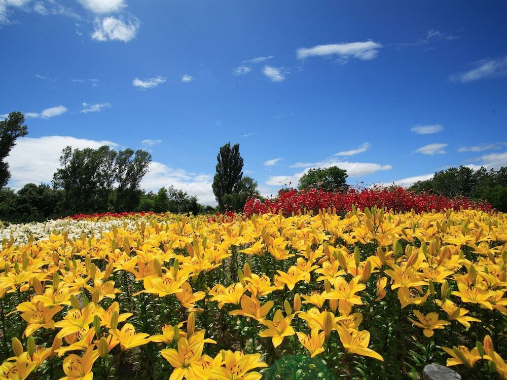 施設からの眺望