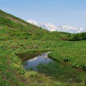 白馬姫川温泉なごみの湯 ホテルアベスト白馬リゾート（長野県 リゾートホテル） / 4