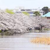 上野ステーションホステル オリエンタル 2（東京都 カプセルホテル） / 4