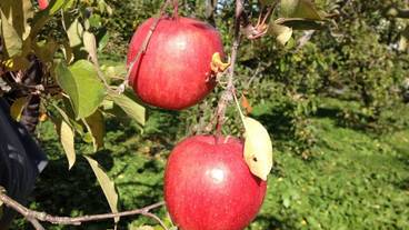 施設からの眺望 / 9