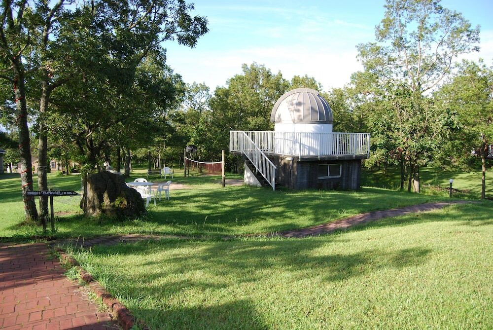 子供向けアクティビティ