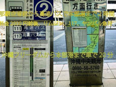 沖縄フリーダム / 3