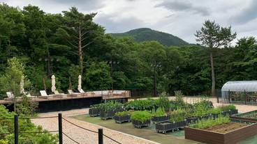 フォレストテラスとファーム / 14