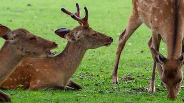 子供用の遊び場 - 屋外 / 4