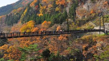 鬼怒楯岩大吊橋 / 4