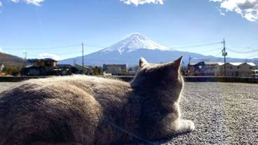 施設からの眺望 / 6