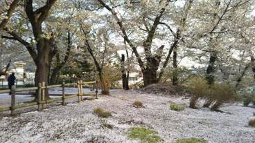 施設の敷地 / 13