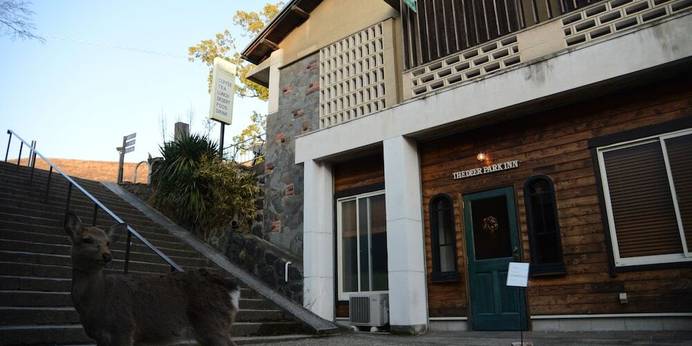 ザ・ディアパークイン（奈良県 ビジネスホテル） / 1