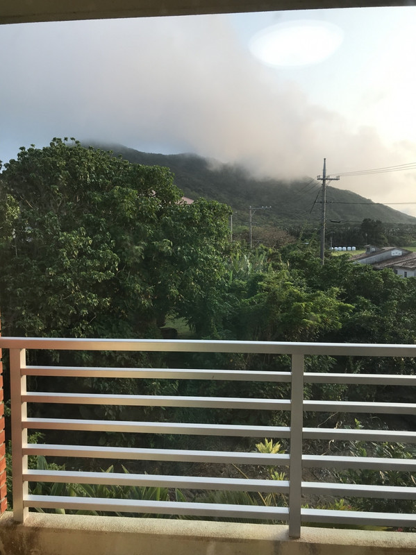 バルコニーからの眺め