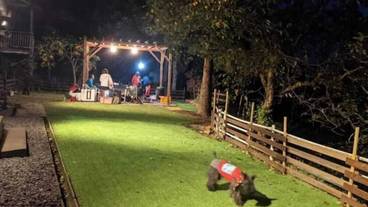 ペット同伴可 / 7