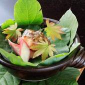 仙石原温泉 料亭旅館 いちい亭（神奈川県 旅館） / 5