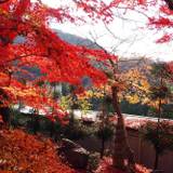 客室の眺望一例／秋 / 5