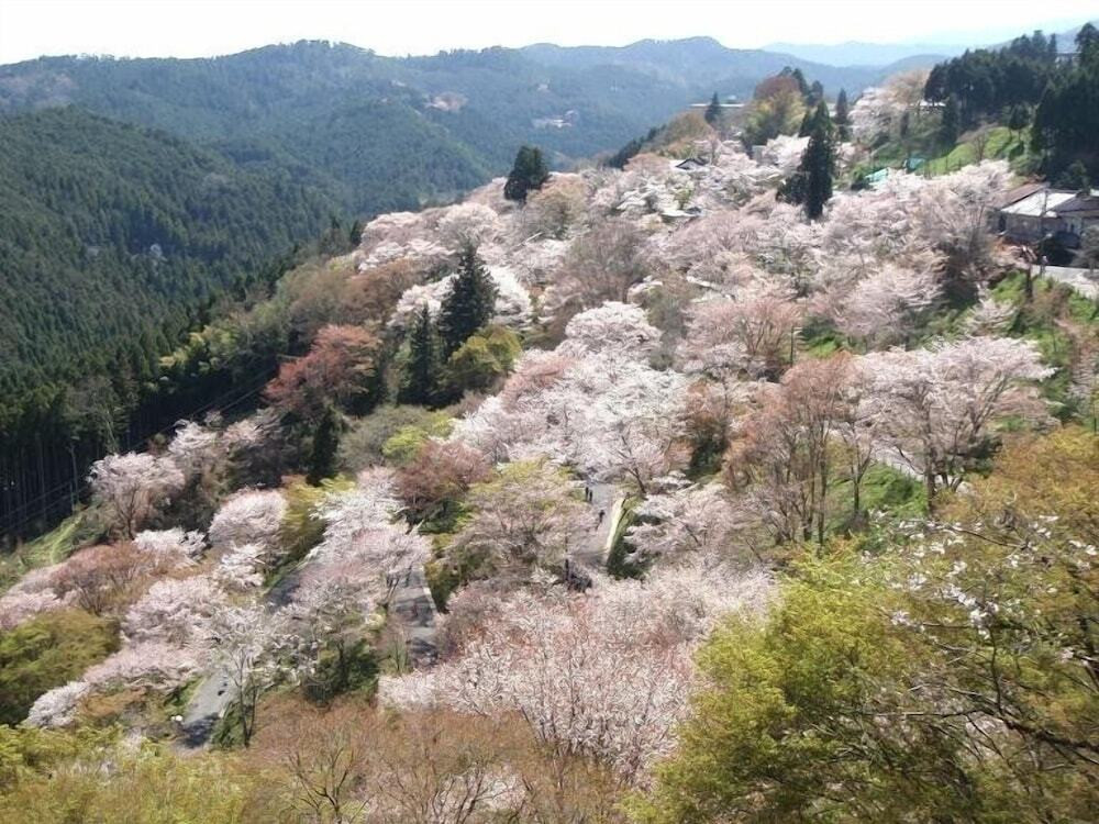 吉野山下千本の街並