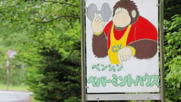 施設の入り口 / 10