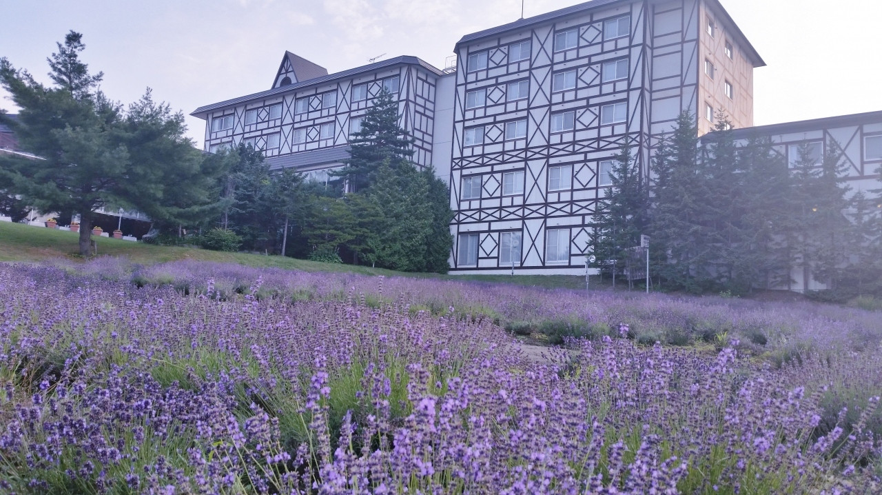  ホテル　ベルヒルズ3501532