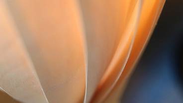 レストラン / 24