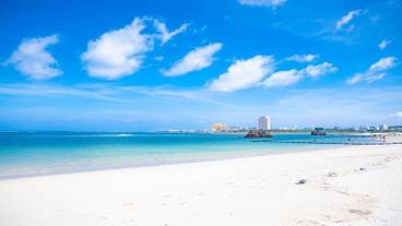 観光スポット / 8