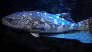 観光スポット / 7