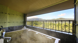 ラグジュアリー ルーム 専用バスルーム