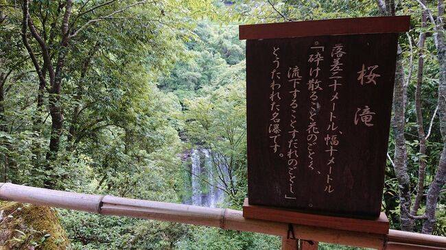敷地内の風景／桜滝 / 2