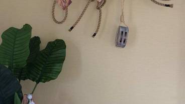 内装の詳細 / 30