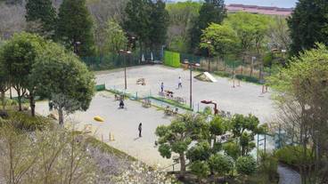 ペット用設備・サービス / 5