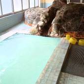 中ノ沢温泉 磐梯西村屋（福島県 旅館） / 4