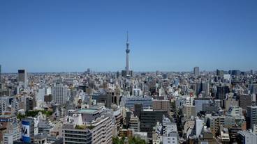 シティ ビュー / 9