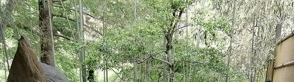 群馬の「日本秘湯を守る会」のおすすめ温泉宿！知る人ぞ知る4選