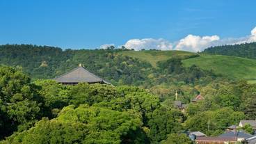 マウンテン ビュー / 11