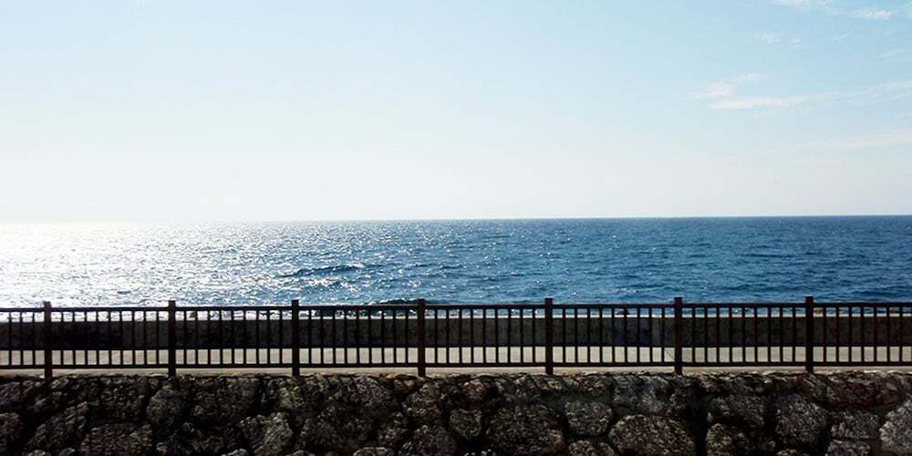 ビーチ / オーシャン ビュー